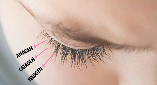 lash growth, long natural lashes, how to get long eyelashes, lash extensions, eyelash extensions