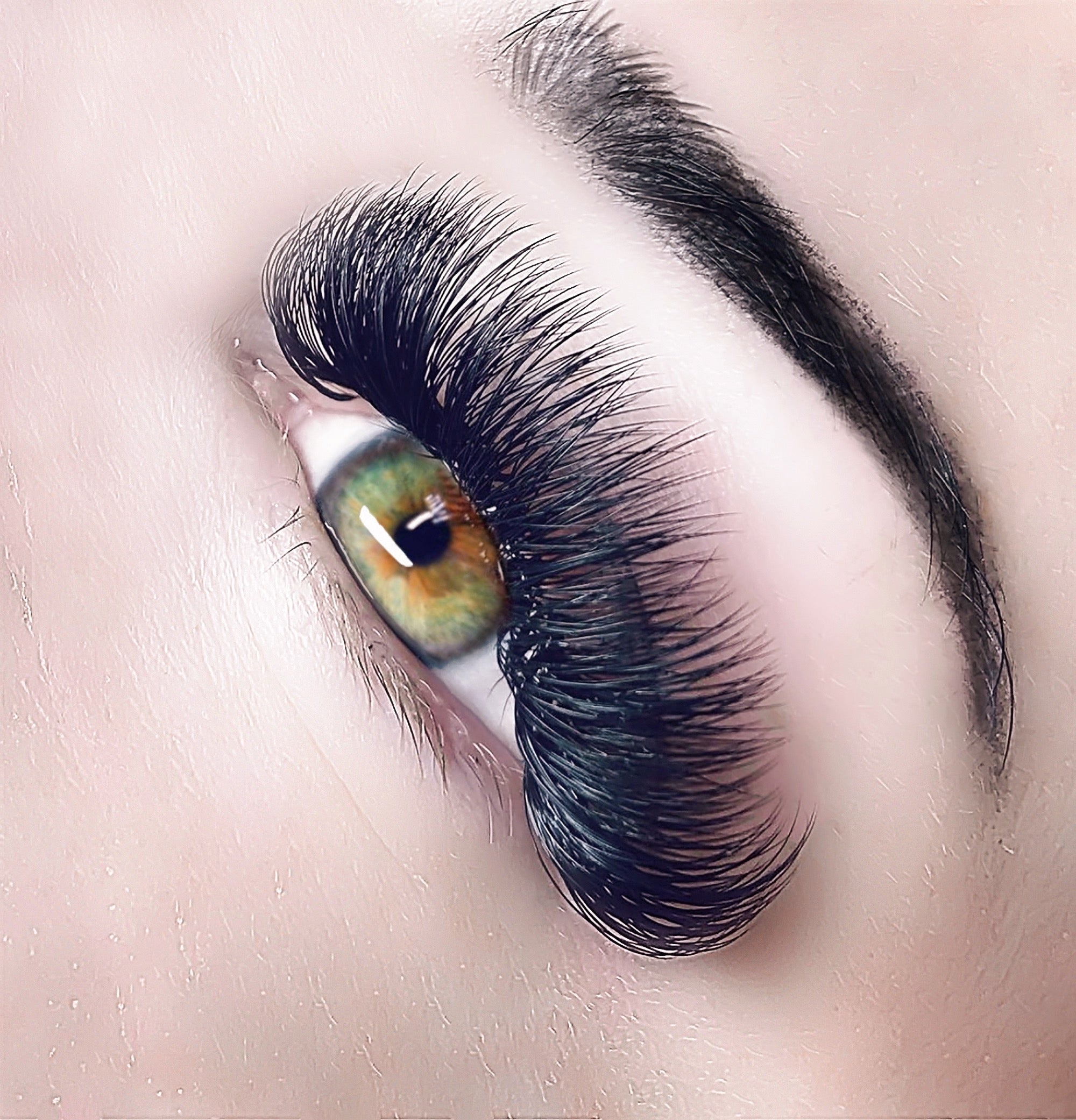 Beginner's Guide to Eyelash Extensions iLevel Lab