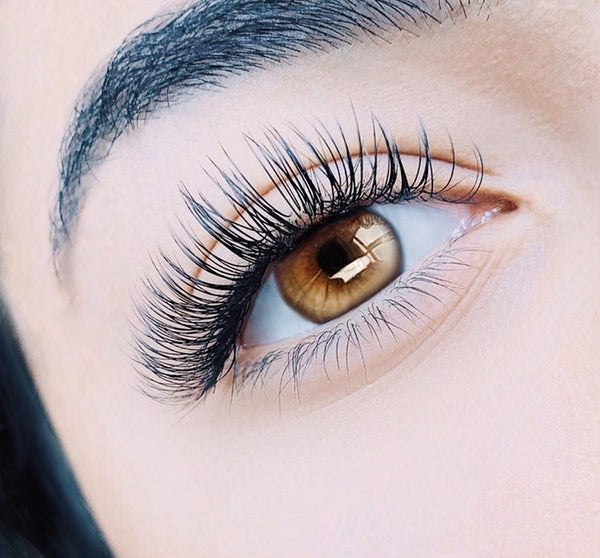 classic eyelash set beautiful eye closeup picture