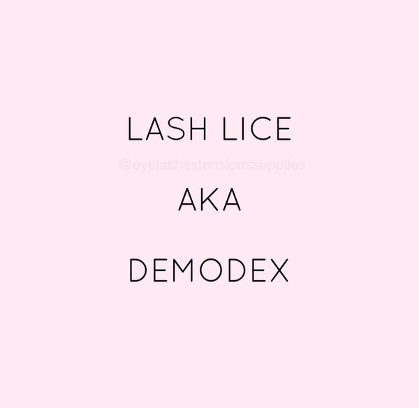 lash mites, demodex, lash aftercare, lash hygiene, eyelash extensions
