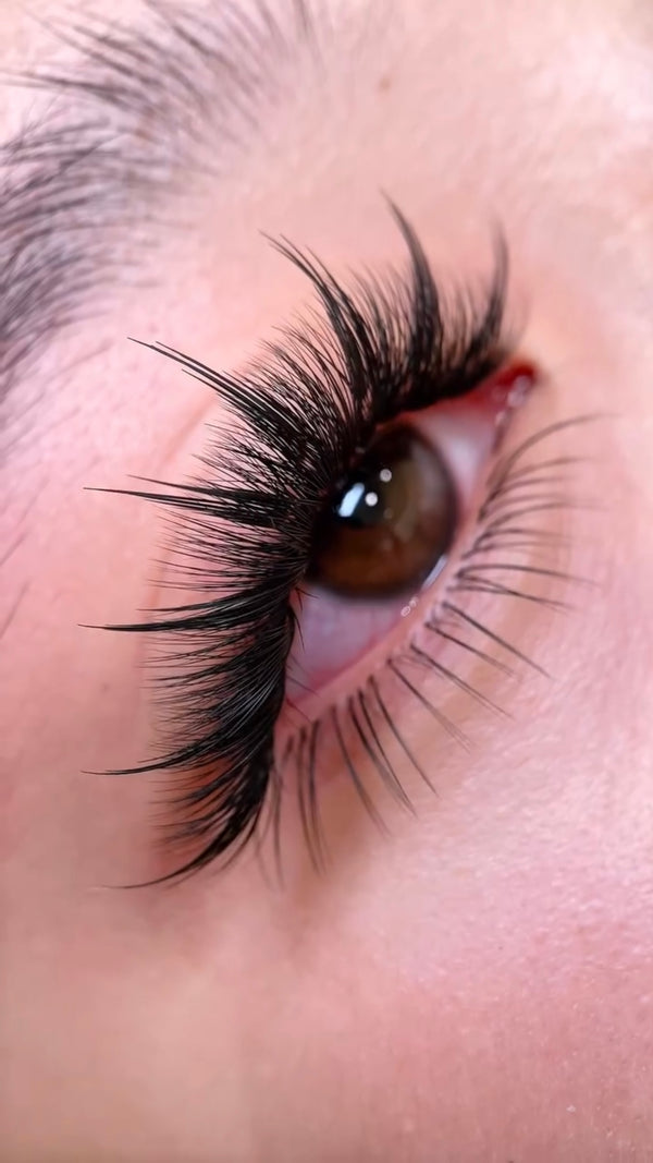 anime lashes, anime lash extensions,  3d printed lashes, laser lashes, laser lash extensions, Manga lashes, flower lash extensions, airy volume lashes, lightweight pre-made lash fans, open fan eyelash extensions, Wispy lash extensions, soft volume lash fans, manga style lashes, fluttery eyelash extensions, manga lash trays, anime lash trays