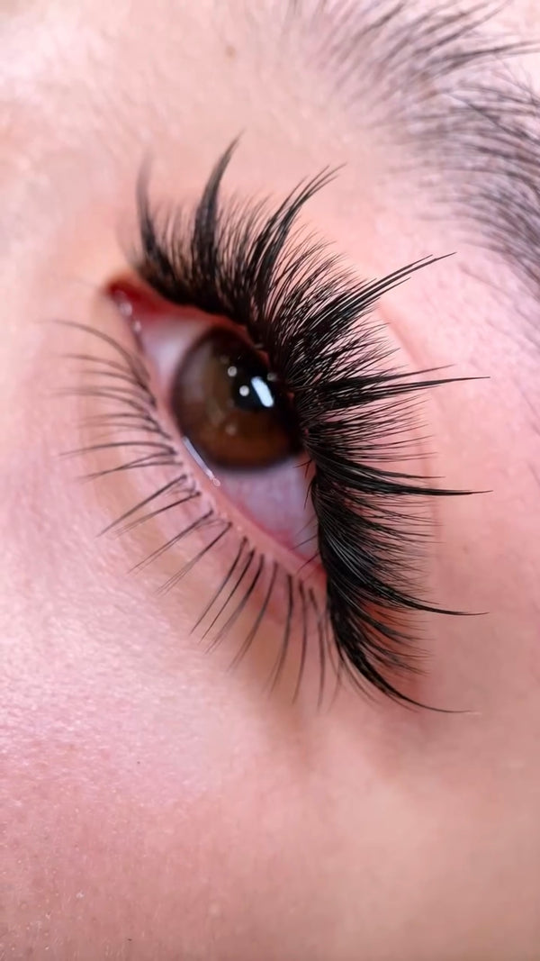 anime lashes, anime lash extensions, 3d printed lashes, laser lashes, laser lash extensions, Manga lashes, flower lash extensions, airy volume lashes, lightweight pre-made fans, open fan eyelash extensions, Wispy lash extensions, soft volume lash fans, manga style lashes, fluttery eyelash extensions, manga lash trays, anime lash trays