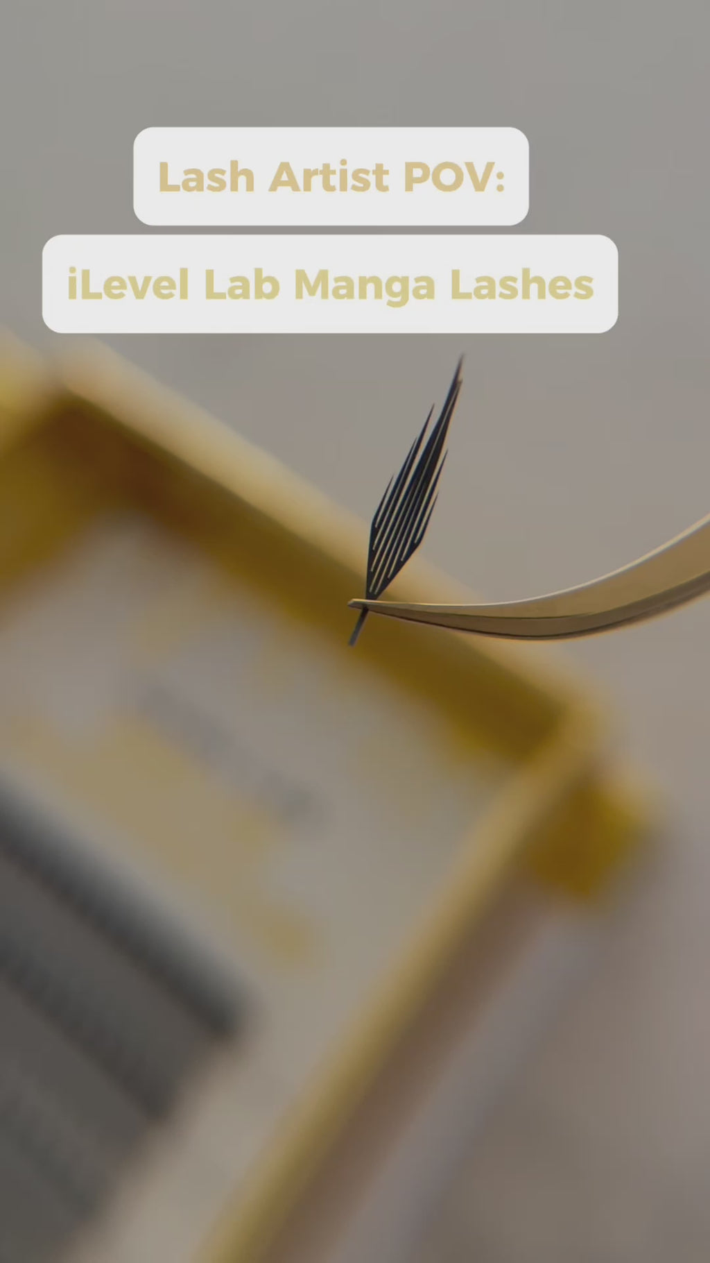 alt="iLevel Lab Manga Lashes tray featuring premade narrow fans designed for anime lash sets and manga lash mapping."