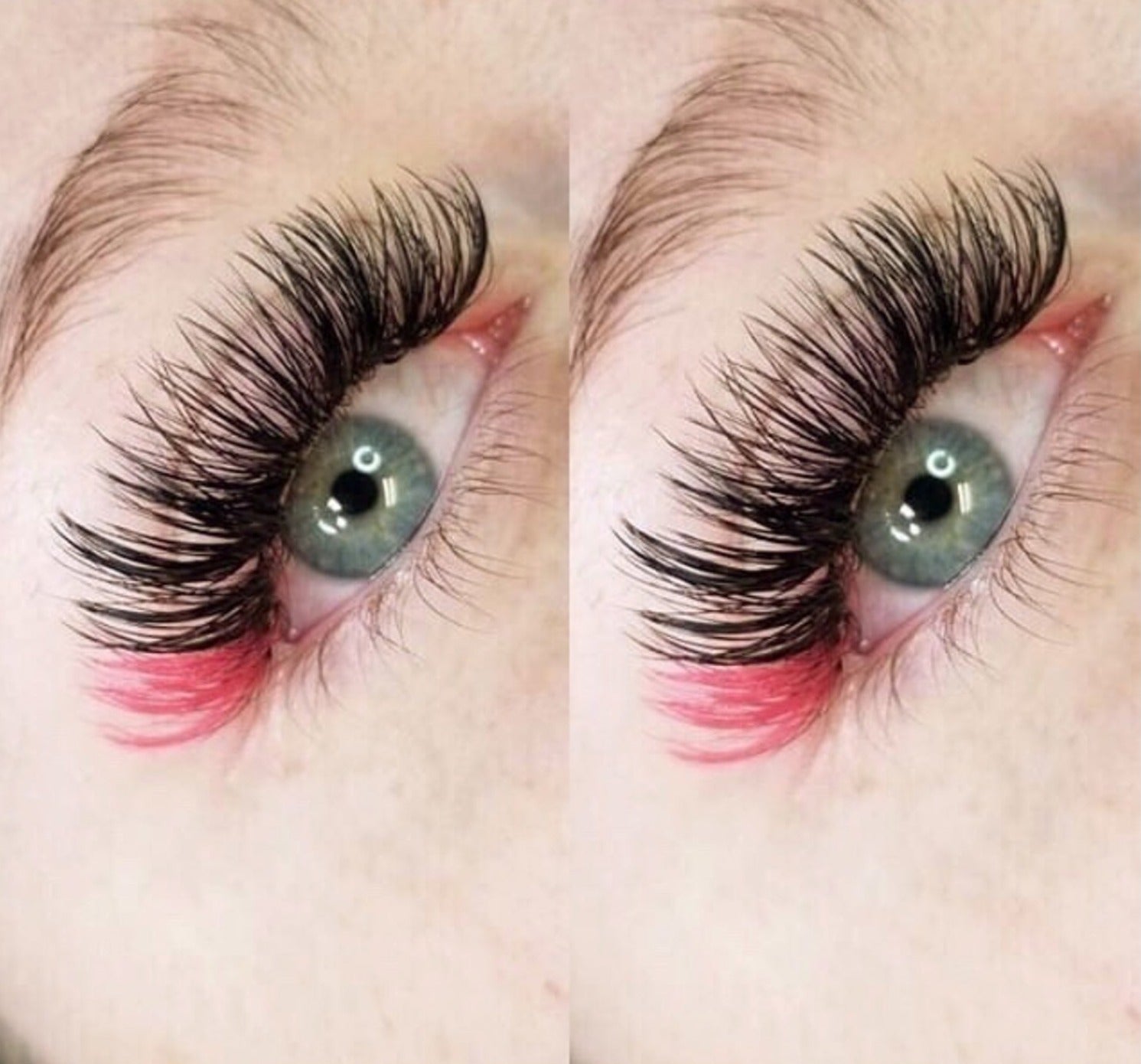 Knock Out Pink and Black Color Lashes – AloraCosmetics